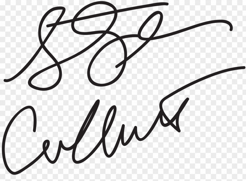 Signature Drawing Line Art PNG