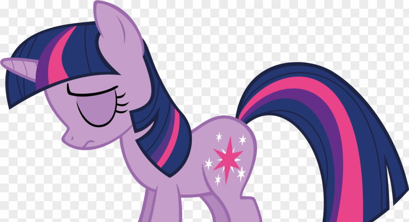 Sparkle Twilight Pony Rarity Rainbow Dash Princess Celestia PNG