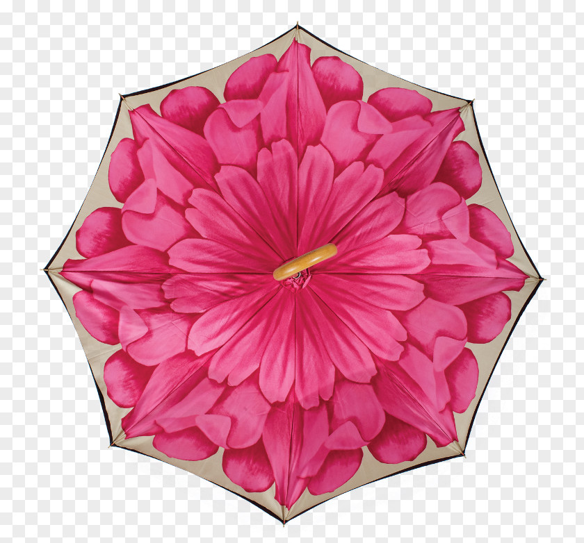 Design Floral Cut Flowers Dahlia Pink M PNG