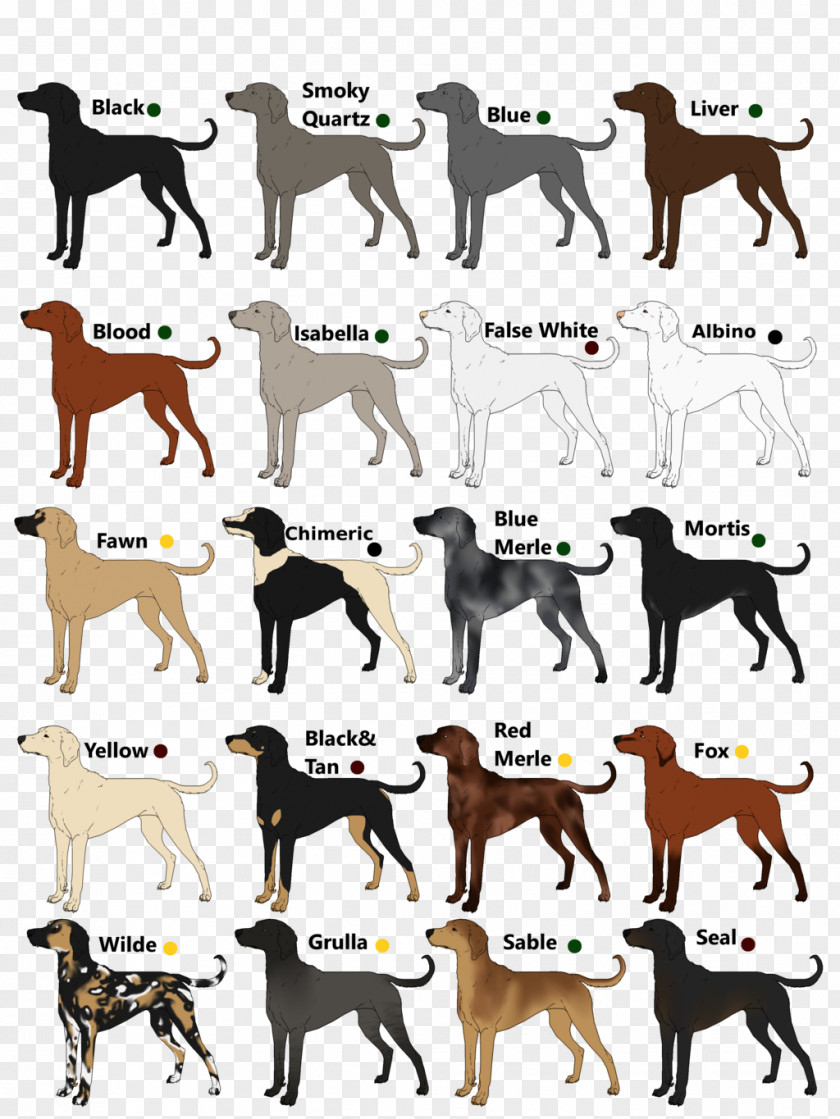 Dog Breed Sporting Group Font PNG