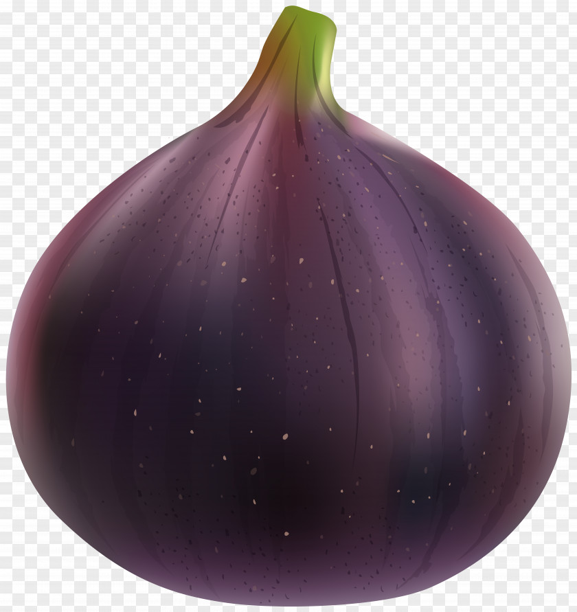 Fig Clip Art Image Red Onion Purple PNG
