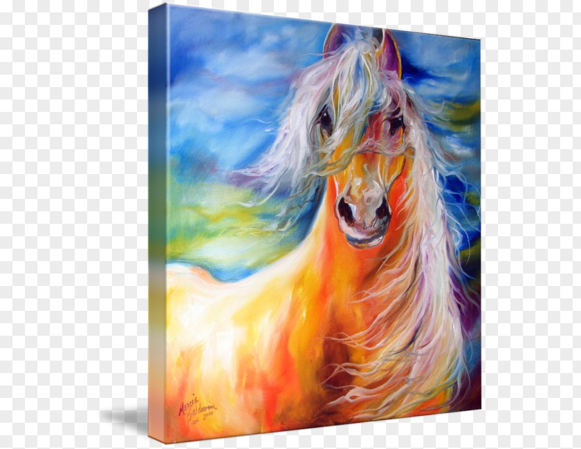 Painting Watercolor American Paint Horse Oil Art PNG