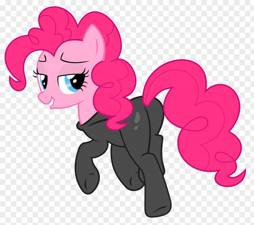 Pie Pinkie Rarity Applejack Rainbow Dash Pony PNG