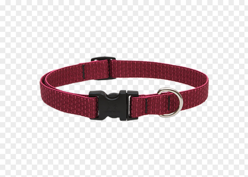 Dog Collars Collar Buckle Belt PNG