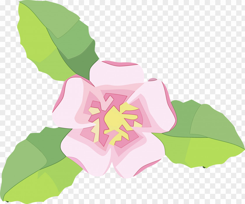 Floral Design PNG