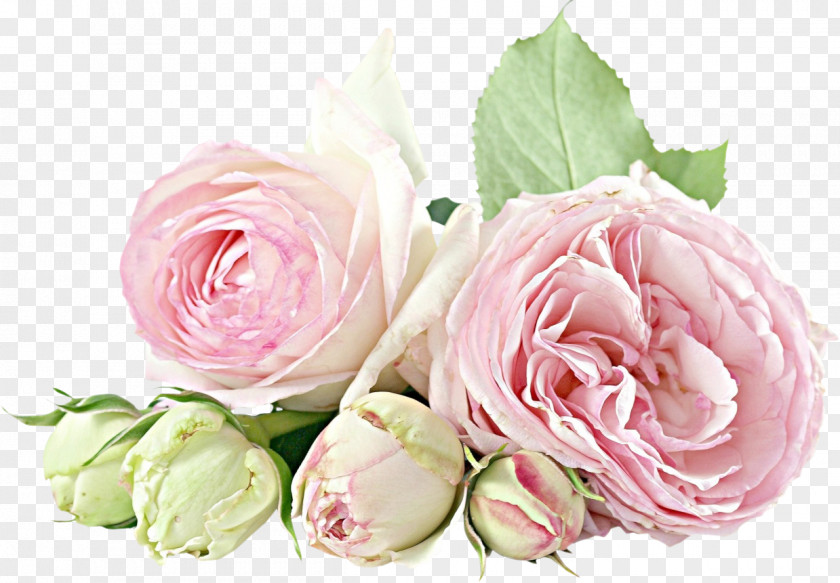 Flower Bouquet Rose Birthday Birth PNG
