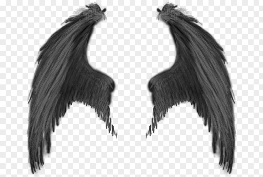 Wings Demon Devil Angel PNG