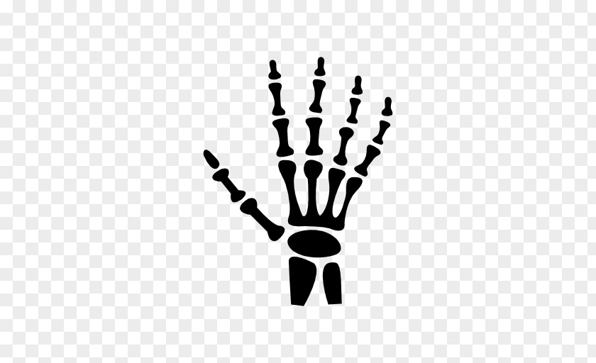 Arm Bone Logo Joint Human Skeleton PNG