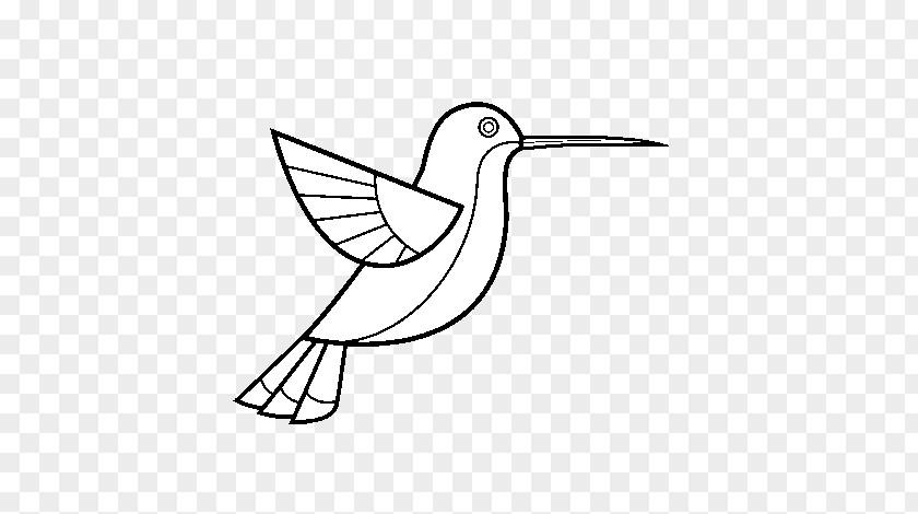 Bird Hummingbird Drawing Coloring Book PNG