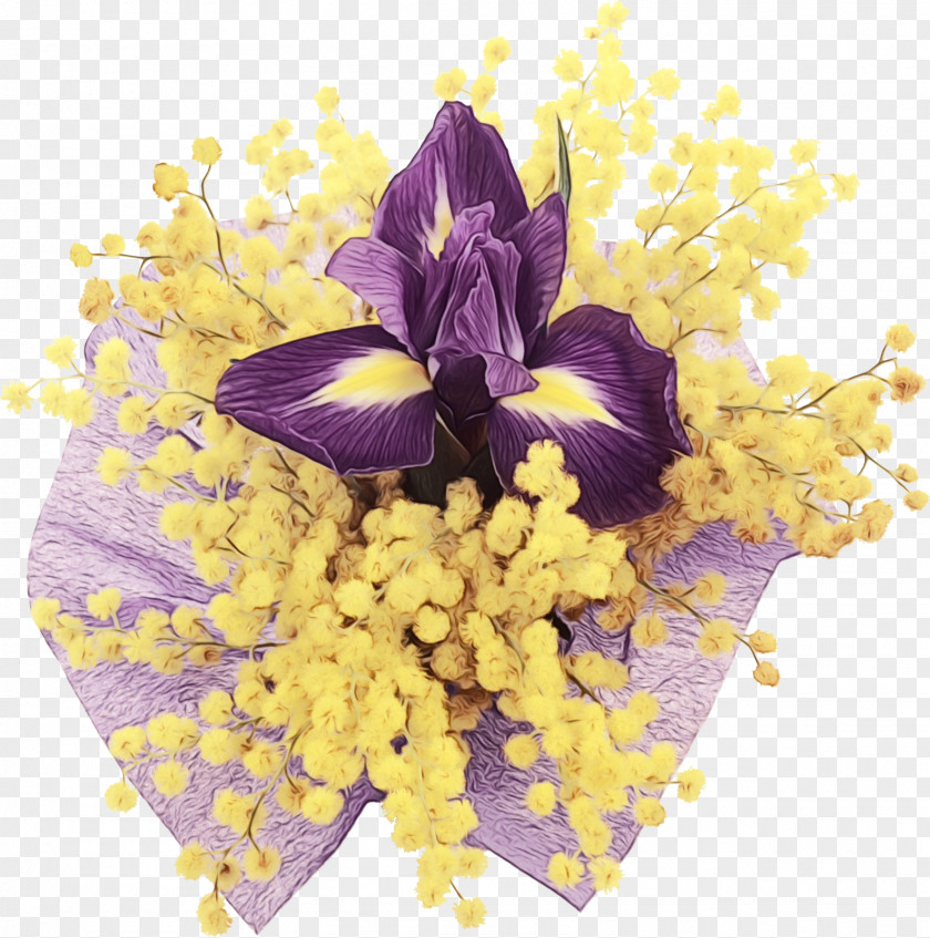 Flowering Plant Iris Flower Violet Purple Cut Flowers Yellow PNG