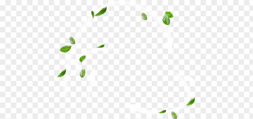 Comfortable And Natural Fresh Green Leaves Wind PNG and natural fresh green leaves wind clipart PNG