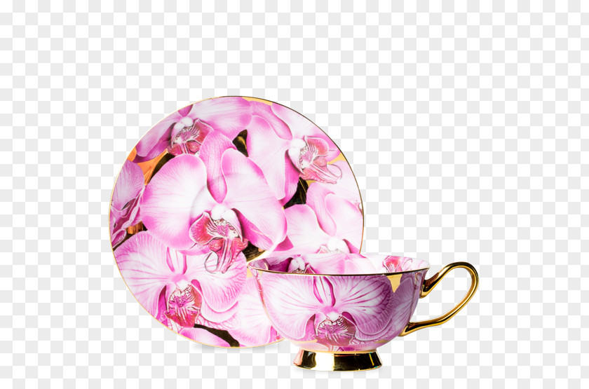 Cup Saucer Tea Set Teacup PNG