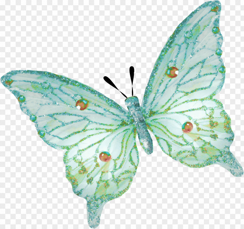 Emerald Green Butterfly Clip Art PNG
