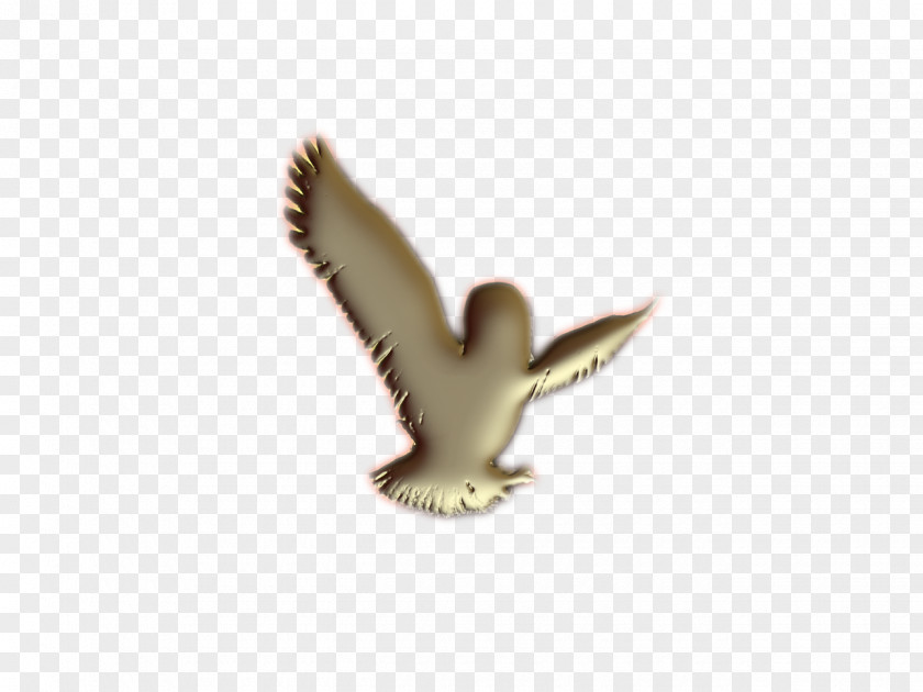Gold Dove Beak Fauna PNG