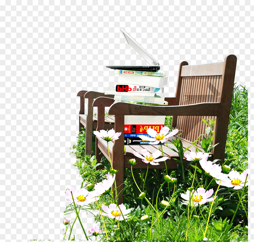 Park Seat Chair PNG
