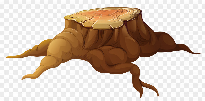 Stump Tree Trunk Clip Art PNG