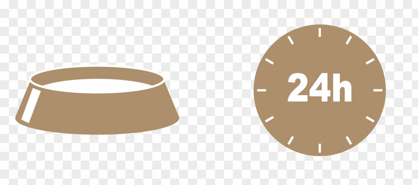 Clock Analog Watch Dial PNG