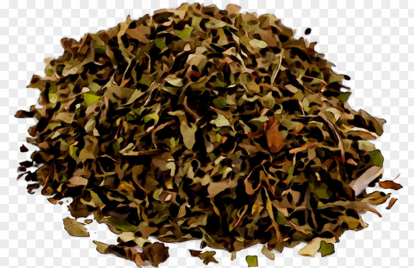 Dianhong Nilgiri Tea PNG