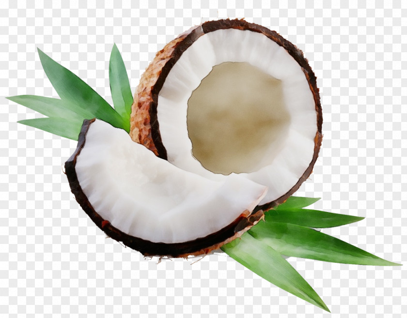 Food Coconut Water Tooth Cartoon PNG