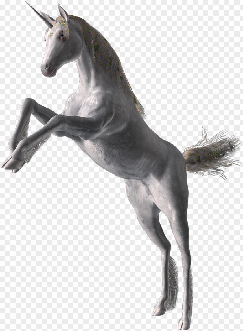 Headless Horseman Stallion Mustang Mare Pack Animal Painting PNG