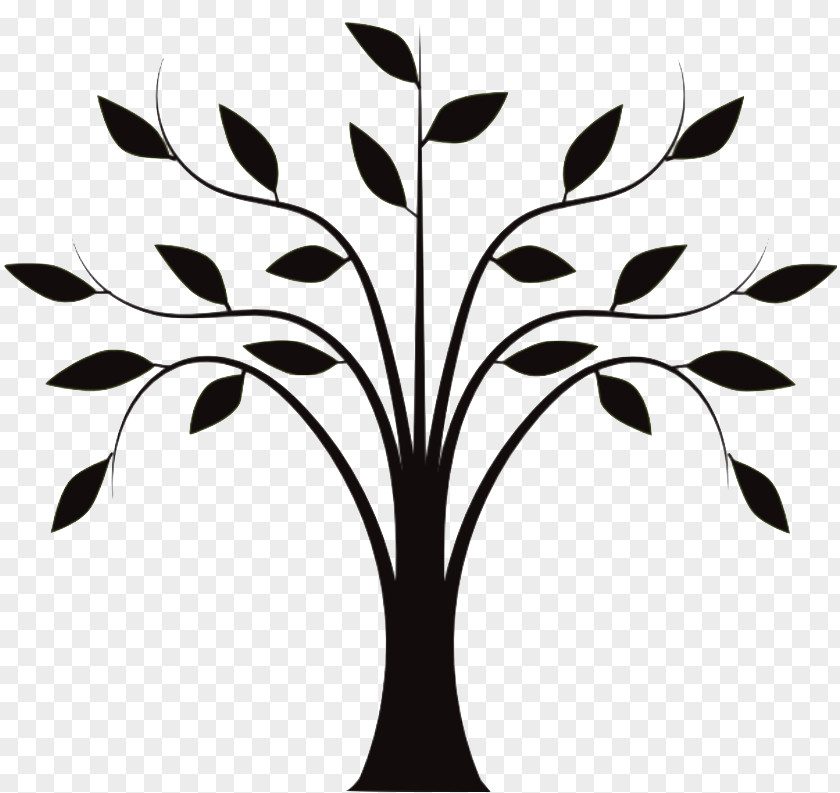 Tree Drawing Trunk Clip Art PNG