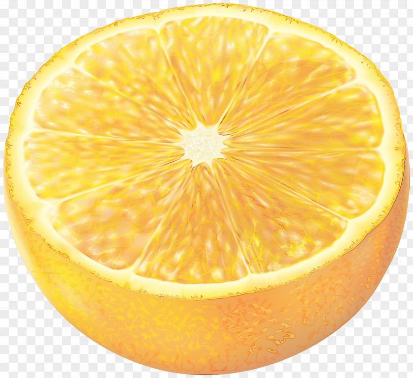 Kumquat Tangelo Lemon Cartoon PNG