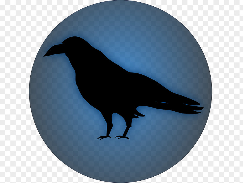 Ravenpublicdomain Common Raven Clip Art PNG