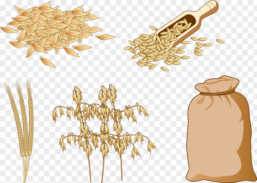 Coarse Cereals And Brown Rice Cereal Food Oat PNG
