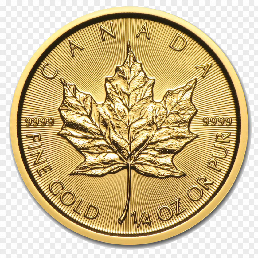 Gold Coins Canadian Maple Leaf Royal Mint Bullion Coin PNG