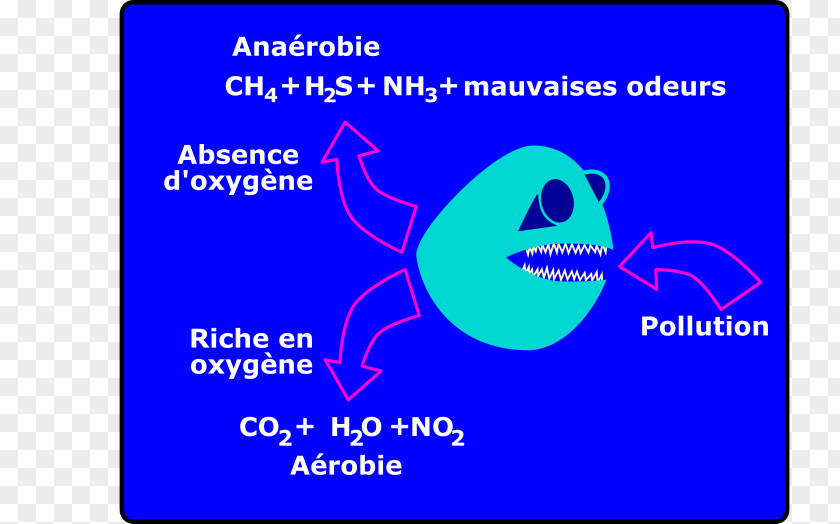 GRADATION Anaerobic Exercise Clip Art PNG