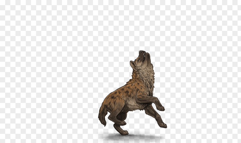 Hyena Lion Spotted Carnivora Mane PNG