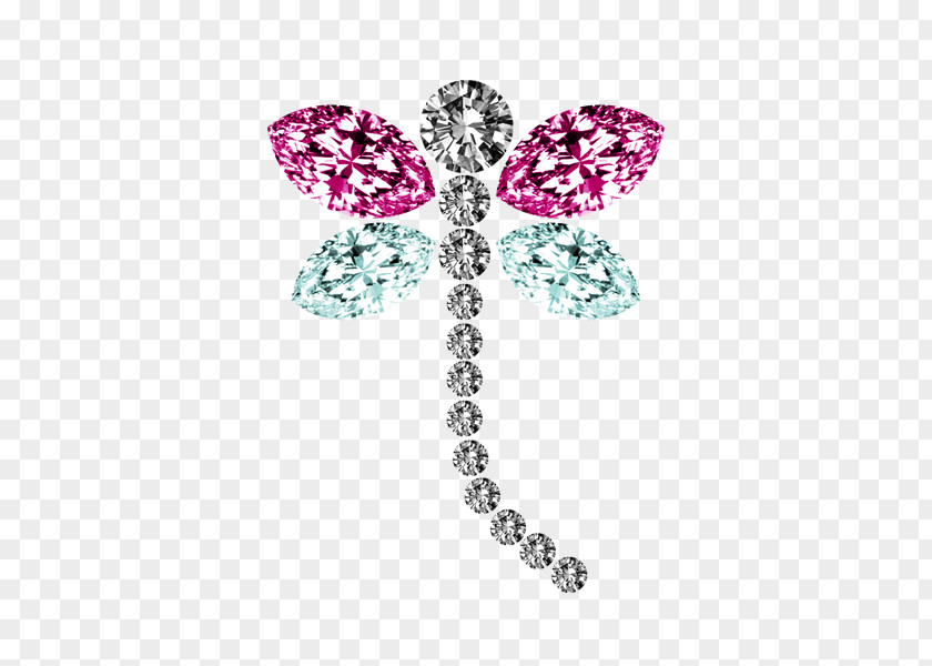 Dragonfly Decoration PNG