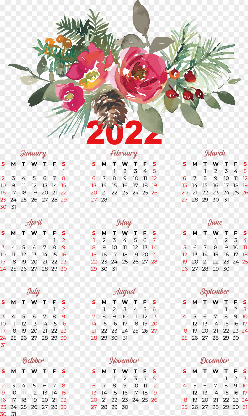 Flower Calendar Blog Meter Plant PNG