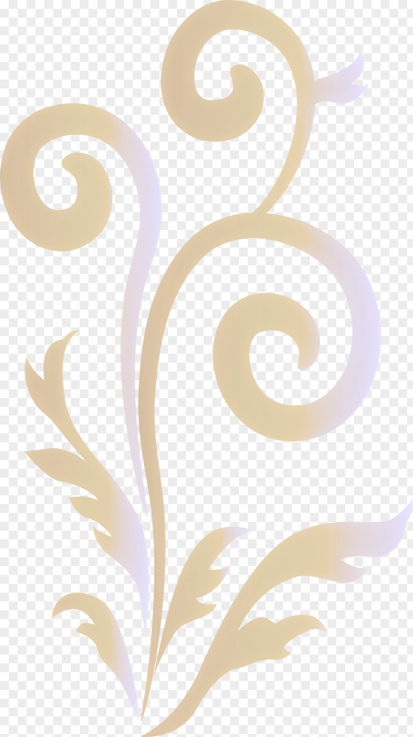 Flower Frame Floral PNG