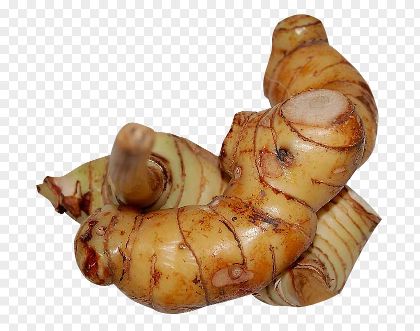 Galangal Ginger PNG