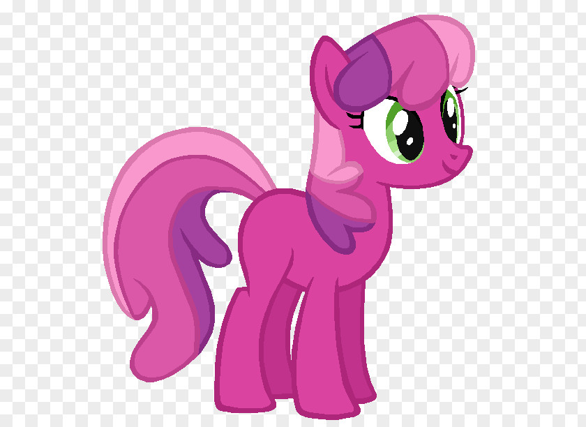 My Little Pony Twilight Sparkle Rarity Rainbow Dash Cutie Mark Crusaders PNG