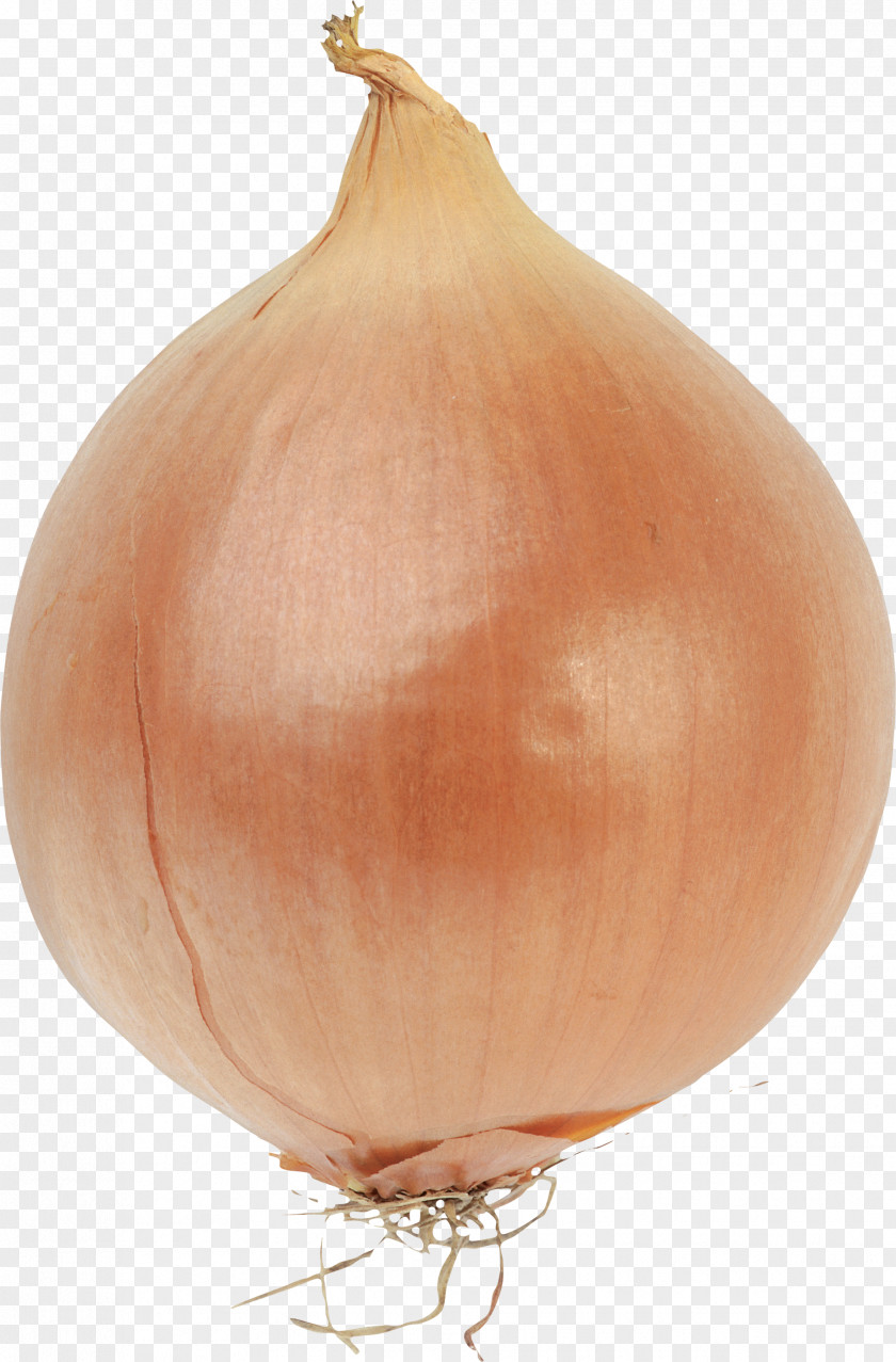 Onion Image Fried Cooking Sautéing Recipe PNG