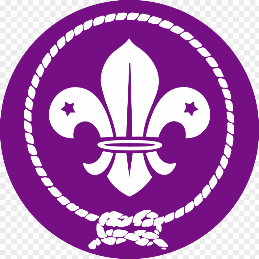 Scout Scouting For Boys World Emblem Organization Of The Movement Cub PNG