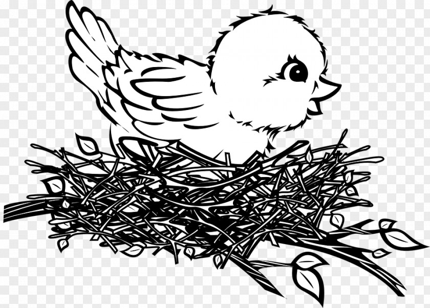 Bebeoiseau Bird Nest Drawing Clip Art PNG