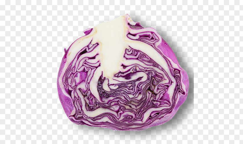 Cabbage Vegetable Korean Cuisine PNG