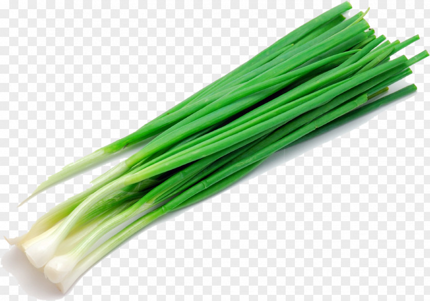 Chopped Green Onion Leek Salad Food Energy Herb PNG