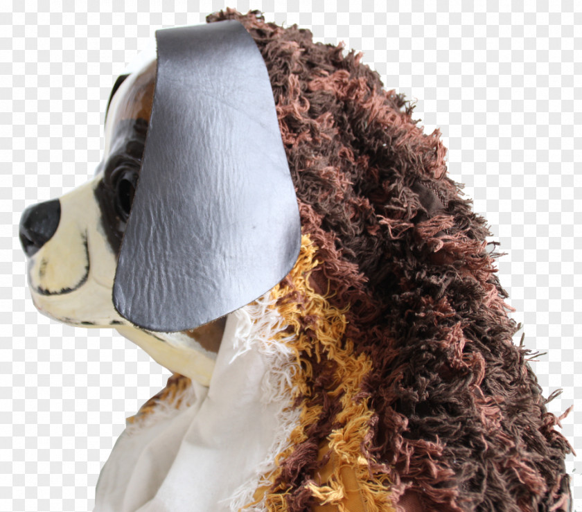 Dog Snout Fur PNG