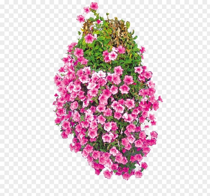 Flower Garden Roses Carnation Cut Flowers Surfinia PNG