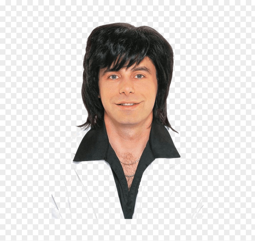 Hair Style 1970s 1980s Wig Male Costume PNG