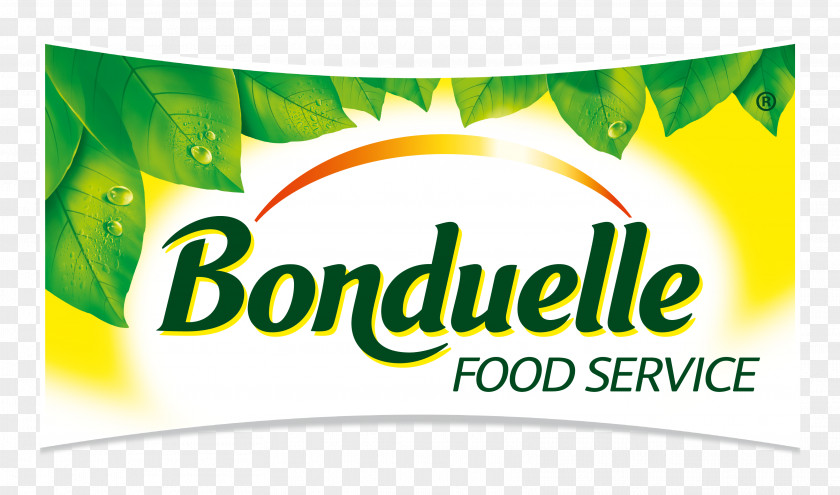 Logo Transformes Banner Brand Foodservice Bonduelle PNG