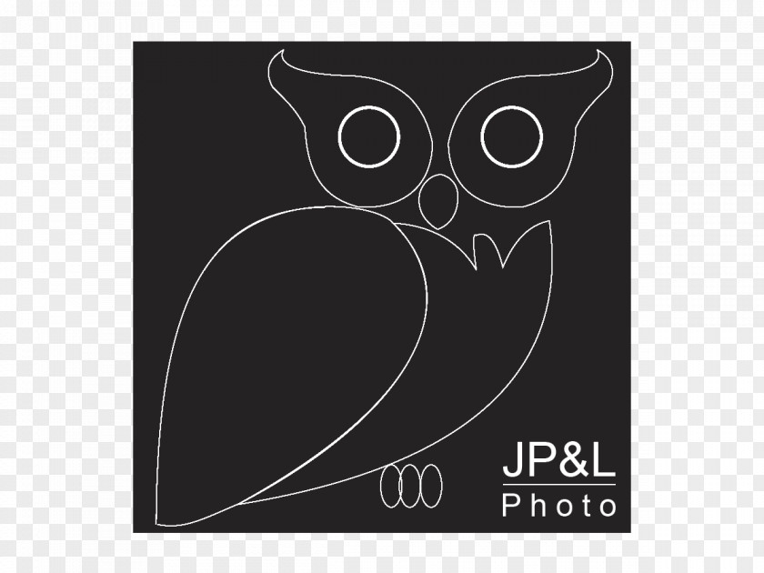 Owl Logo Brand Rectangle Font PNG