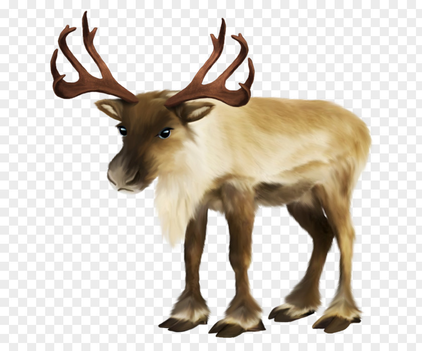 Santa Claus Rudolph Reindeer Sled PNG