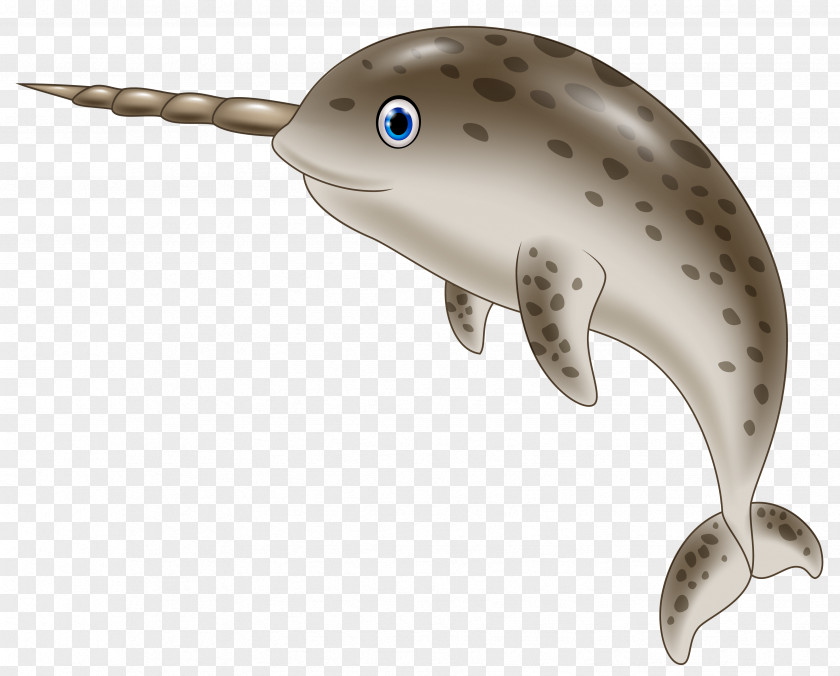 Vector Dolphins Cartoon Royalty-free Illustration PNG