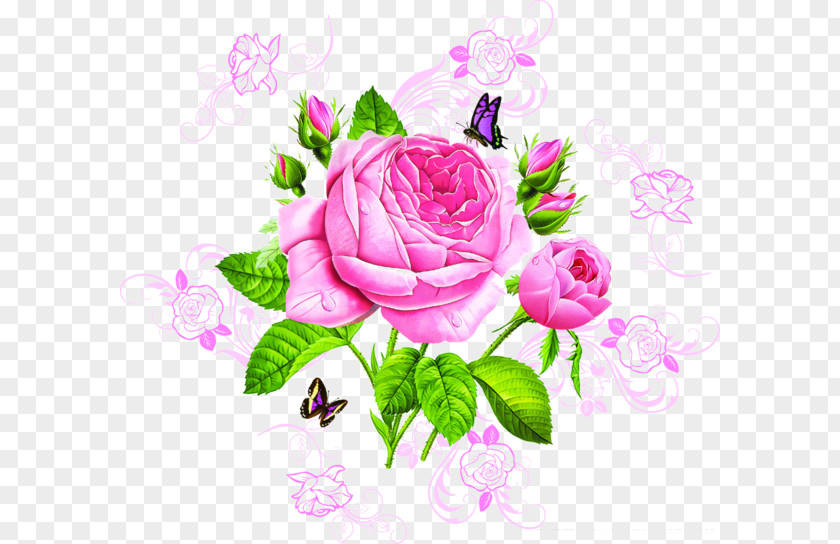 Butterfly Garden Roses Pink PNG