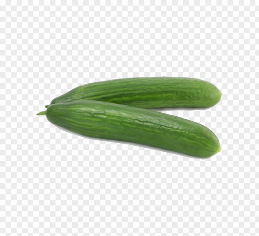 Cucumber Pickled Vegetable Pepino PNG